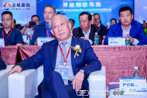 1681275990027088647.jpg 20230410严介和出席峰会2.jpg